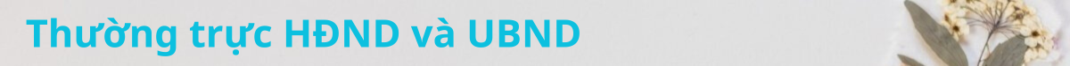 image advertisement